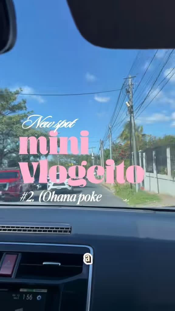 Mini vlog